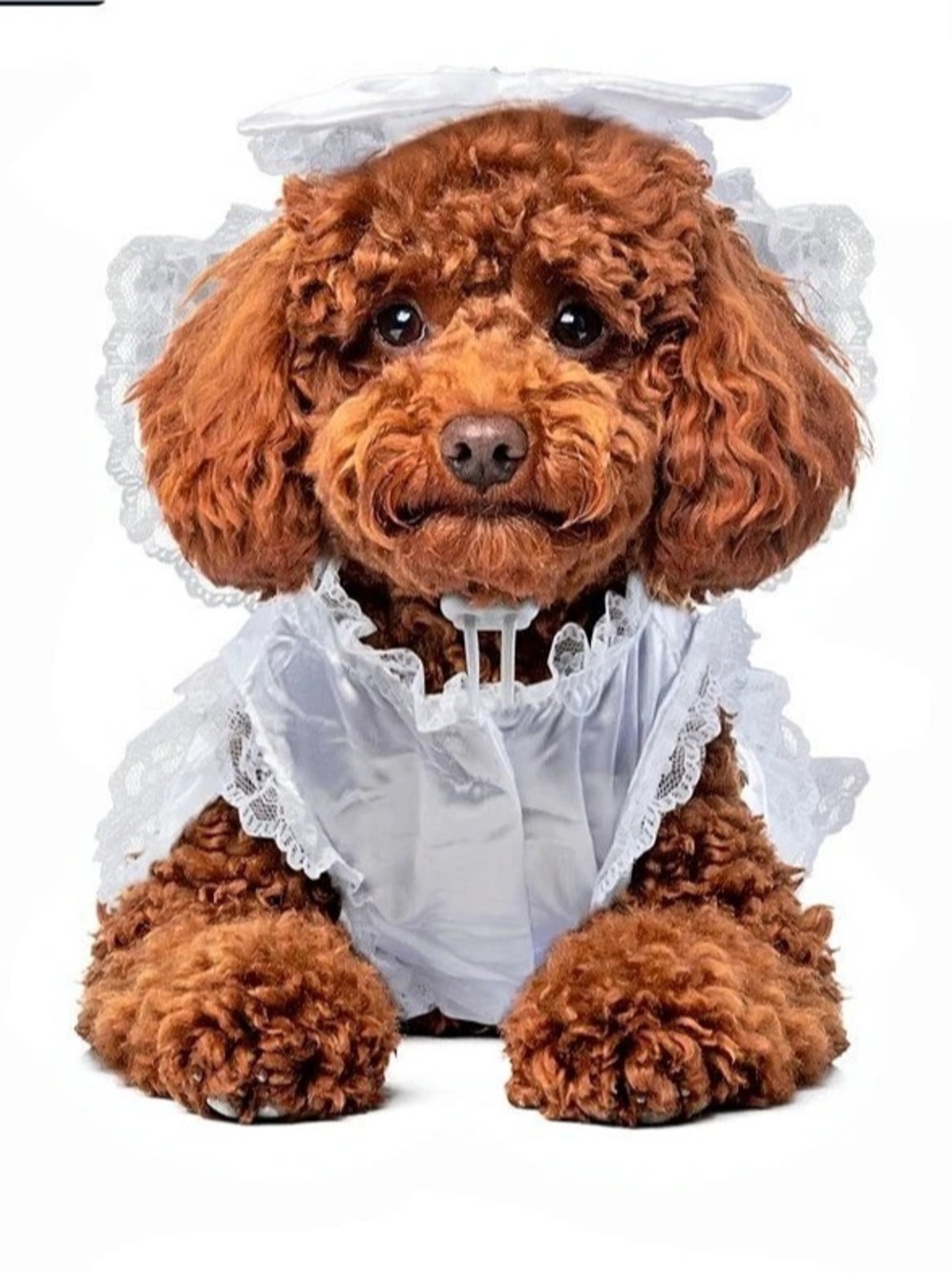 Ruthie II, LLC White Dog Wedding Dress Costume NWT